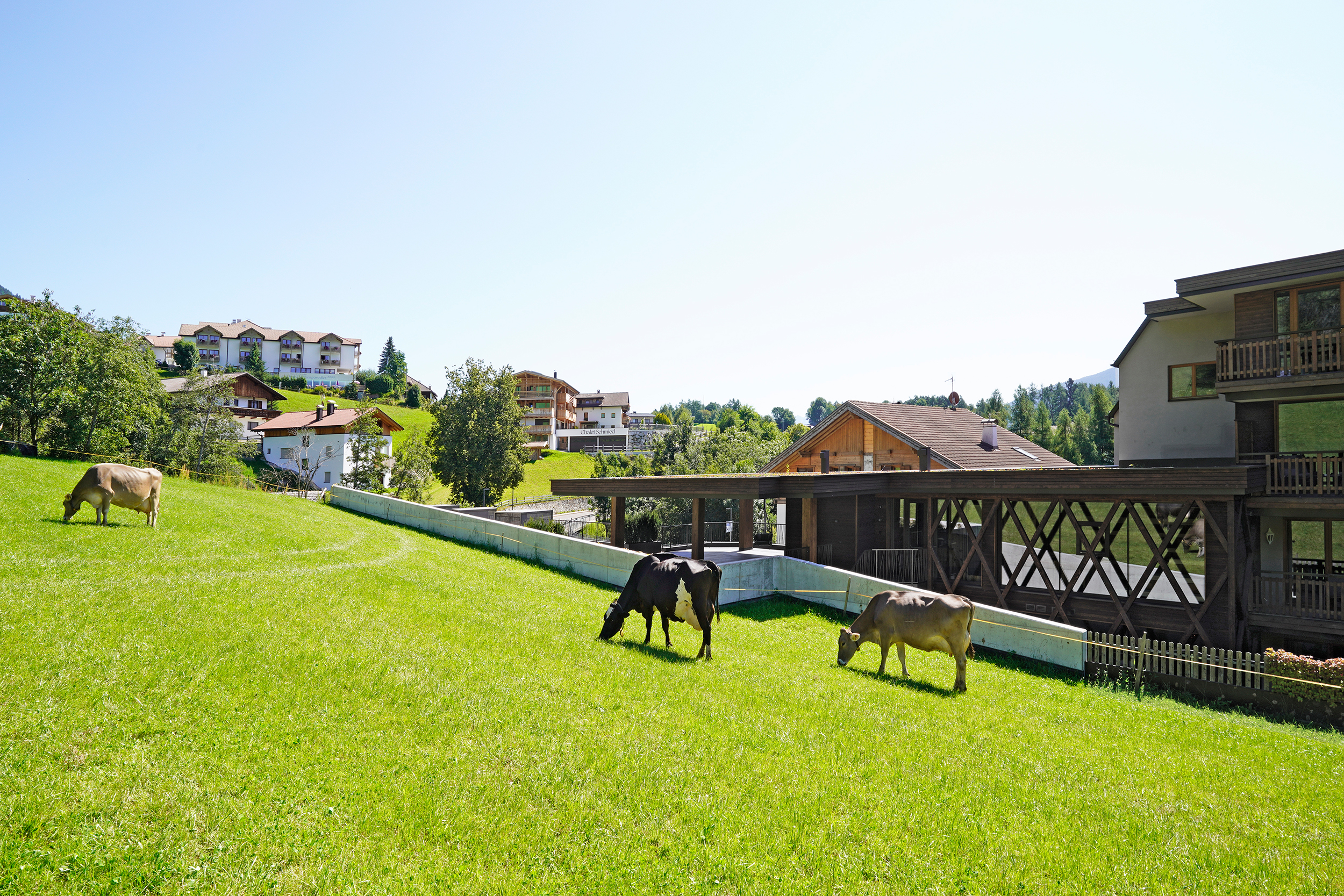 Hotel Terentnerhof, Terenten